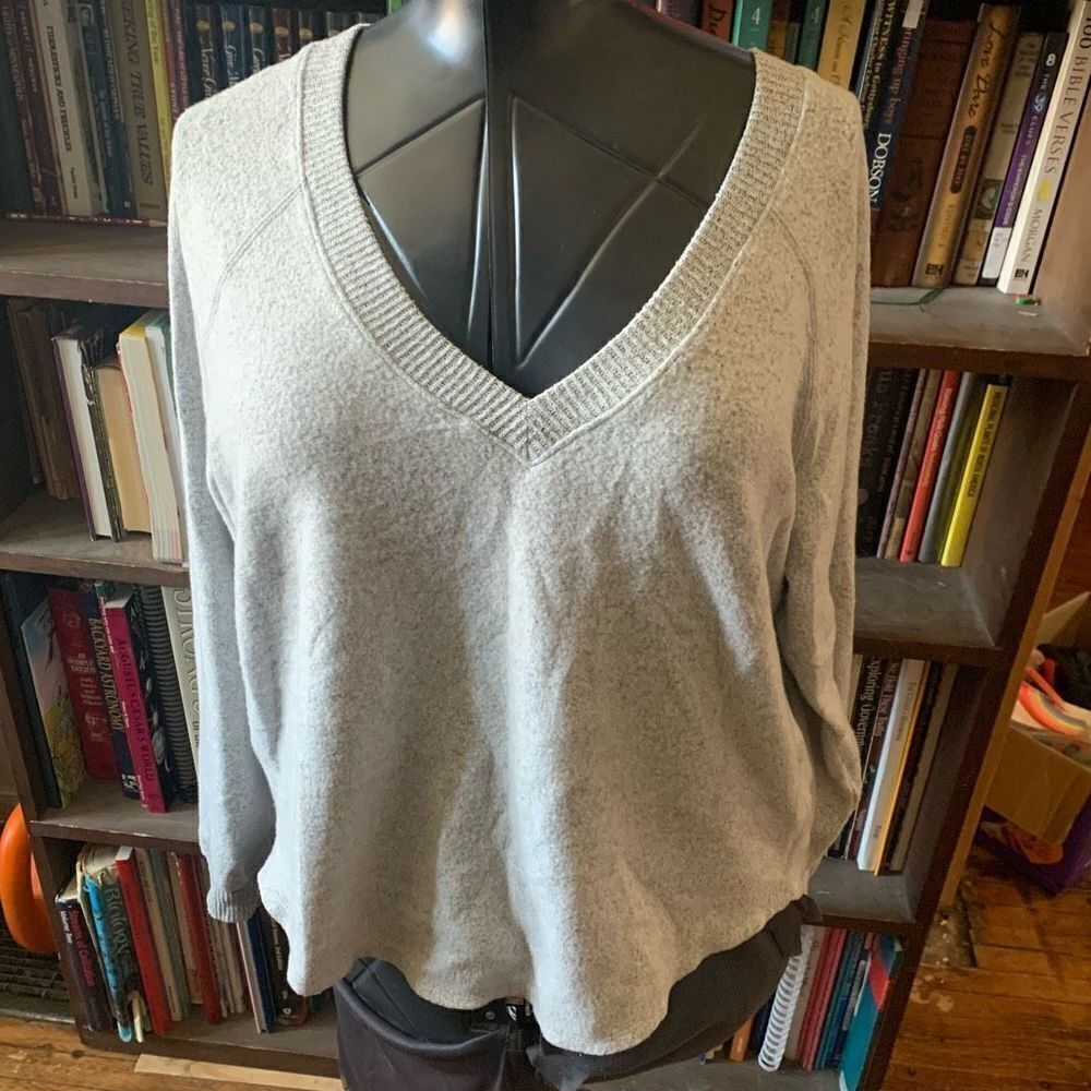 Allison Joy Evereve M soft gray v-neck pullover sweater